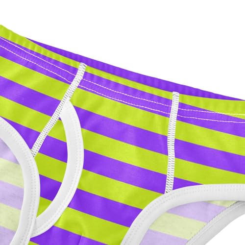 Green Purple Stripe Toddler Boy's Underwear 2T4