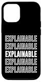 Explainable Apparel