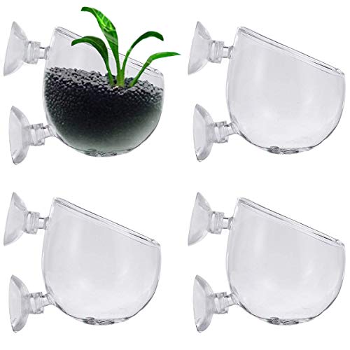 Smavles Pot de Fleurs en Verre pour Aquarium 4 Pièces Pot en Verre Aquarium Pot de Fleurs en Verre Cristal Plante Aquatique Tasse Pot de Fleurs pour Aquarium avec 8 Ventouses pour Aquarium Décorative