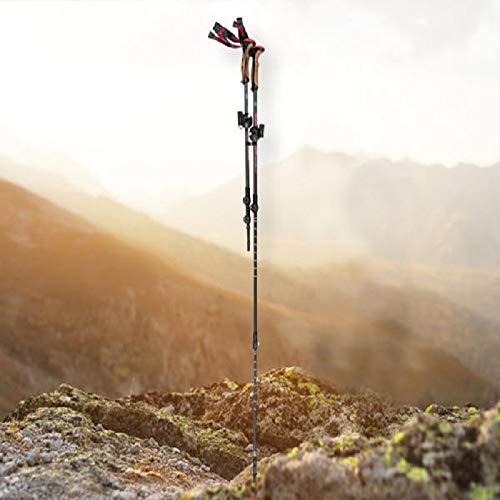 Palos Bastones DE Trekking Alum. Ligeros con AMORTIGUACION Regulables DE 100-135CMS 3 TRAMOS