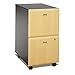 Bush Business Furniture Series A 2 Drawer Mobile File Cabinet, Hansen Cherry/Galaxy