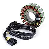 SIbeg Magneto Stator Coil Generator Stator Coil For Ho&nda CB600F CB 600F Hornet 600 PC41 2007-2013 CBF600N Naked CBF600S CBF 600S 2008-2010 31120-MFG-D01, SIbeg-12