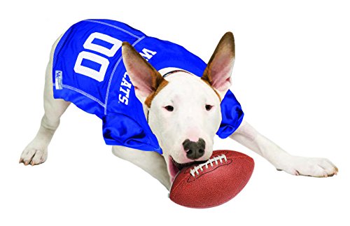 Image of Pets First Collegiate University of Kentucky Wildcast Dog Mesh Jersey, Small