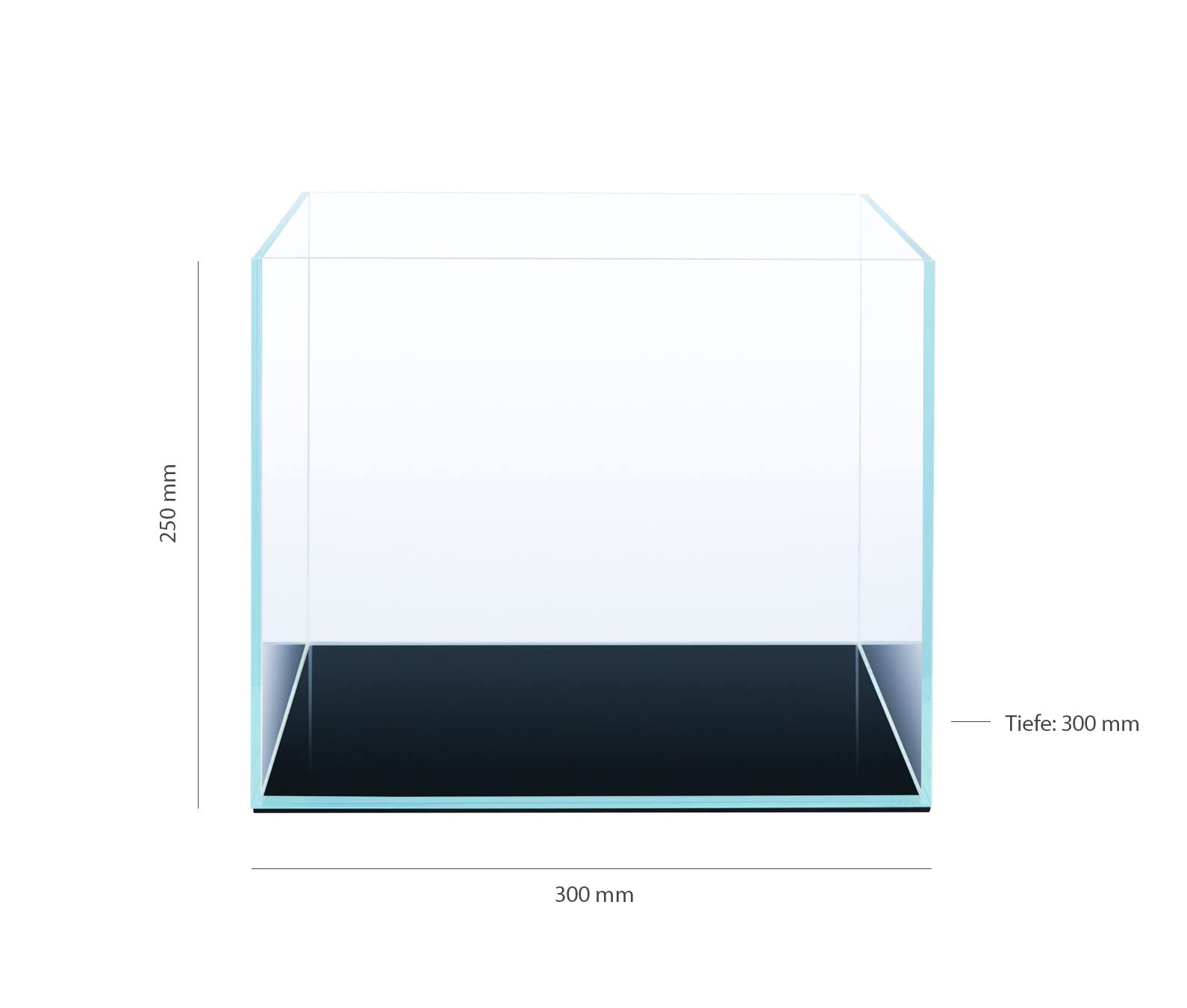 Q-Grow Nano Aquarium mit höchster Farbbrillanz 30 x 30 x 25, hochwertiges Weißglas Aquarium klein, Nanobecken - 22 l