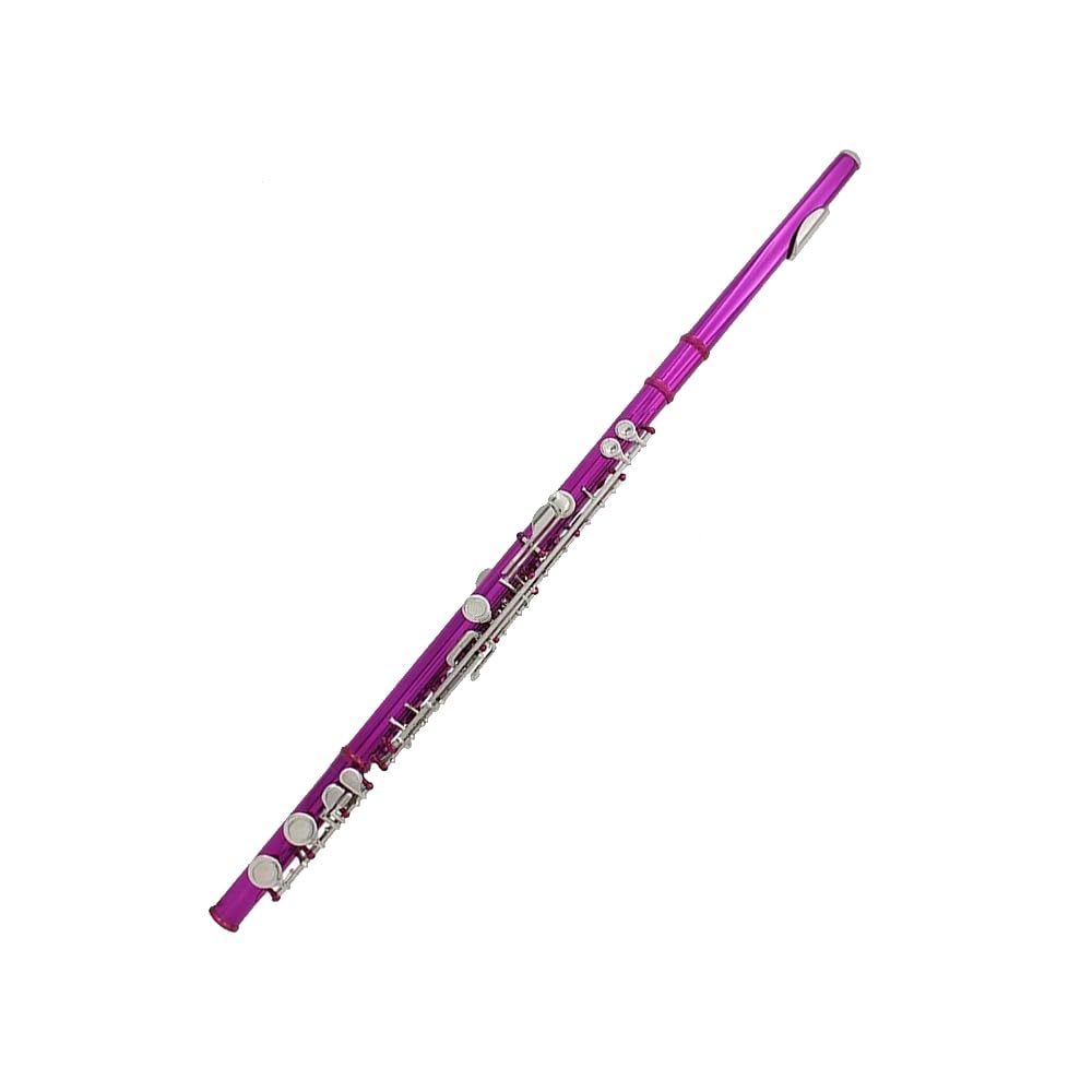 HCZKIUJY 16 Hole Flute C Key Multicolor Flute, Nickel Plated Closed Keys/Plus E Key, Professional Brass Instrument Flute,J (J)