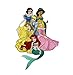 Disney Group of 6 Princess Embroidered Iron On Patch JM-242
