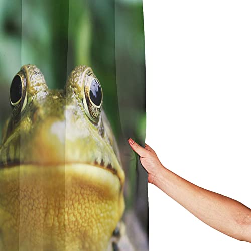 Rideau de douche grenouille imperméable et lavable avec ses 12 crochets - 5