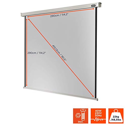 celexon Professional Motor-Leinwand 160 | 300x300 cm 1:1 | elektrische 4K,Full-HD Beamer-Leinwand f&uuml;r Projektionen im B&uuml;ro & Heimkino | zur Decken-/ Wand-Montage | mit Fernbedienung
