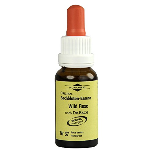Murnauers Original Bachblüten Tropfen Nr.37 Wild Rose