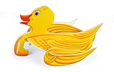  Vector Duck Graupner 13307