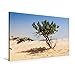 Produktbild Premium Textil-Leinwand 90 x 60 cm Quer-Format Baum in der Wüste - Boa Vista | Wandbild, HD-Bild auf Keilrahmen, Fertigbild auf hochwertigem Vlies, Leinwanddruck von Sabine Reuke