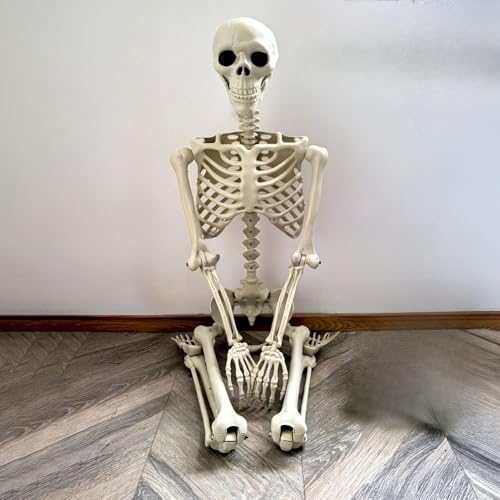 �uNexPon�v�n���E�B�� �[������ 40/70/90/170cm ���g�� �[�l���l�̍��i �|�� ���w�n�E�X ���W�� ���������~ �� ���| �z���[ �f�R���[�V���� �p�[�e�B�[ �z���[ �z���[���� ���͋C���_ ���������� �z�[���X�g�A �p�[�e�B�[ �̎��� 