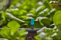 Gardena Micro-Drip-System Kleinflächendüse: Sprühdüse für automatisches Bewässerungssystem, für Kleinflächen bis 40 cm Durchmesser, einfache Verbindung mit 13 mm Verlegerohr (13306-20) – Ansicht 3