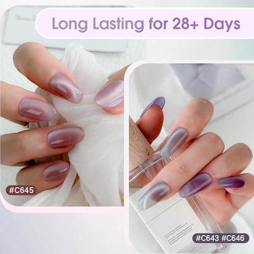 Image of VENALISA Cat Eye Gel Nail Polish Set, 12 Colors, Translucent Jelly Polish with Magnetic Glitter Effect, Soak Off UV Collection, No Wipe Formula, Clear, 7ML (YUNO)