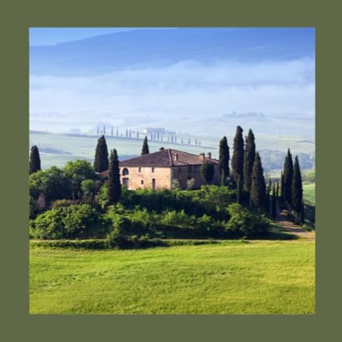 #229 Prima di comprare piante, osserva