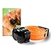 DT SYSTEMS Micro iDT Additional Collar for DT Systems Micro iDT Plus Dog Training System, 6-22