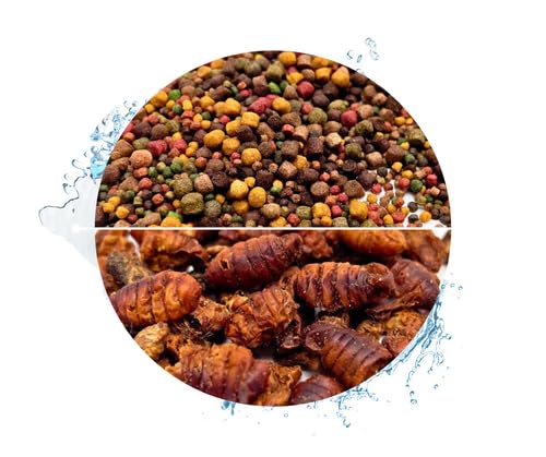 Warnick's Koifutter 8-Sorten-Mix mit Spirulina - 15 L, 3-6 mm mit 1 L Seidenraupen - Fischfutter für Koi & Zierfrische - schwimmfähig & gut verdaulich