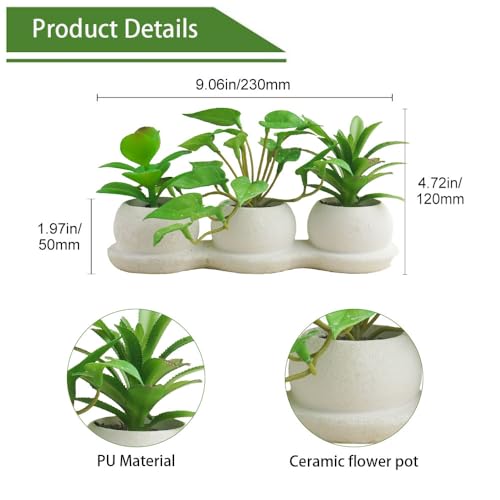Airbirhom Artificial Succulents Plants Set,Faux Succulents in Pots,Assorted Small Succulent Artificial Indoor Decor for Desk,Shelf,Home,Office,Bathroom,Living Room - Cosy Home Interiors Airbirhom Artificial Succulents Plants Set,Faux Succulents in Pots,Assorted Small Succulent Artificial Indoor Decor for Desk,Shelf,Home,Office,Bathroom,Living Room - Image 2