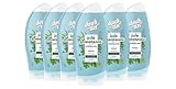 Duschdas Duschgel Damen 6er Pack Wilde Blumenwiese Kornblume & Minze Duschbad erfrischender Duft (6 x 250 ml) 1,5L