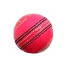 CW Pack of 12 Special Test Pink Leather 4 Cut Piece Cricket Ball in Training/Practice/Men's Sports 156 gm Ball