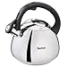 Tefal K2481574 Kettle