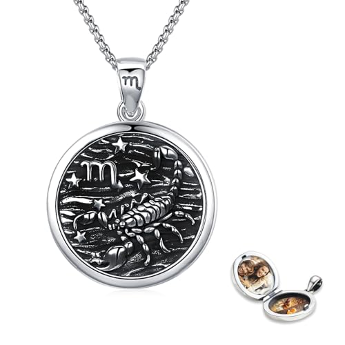 Collier scorpion argent 925 femme pendentif zodiaque astrologie adolescentes