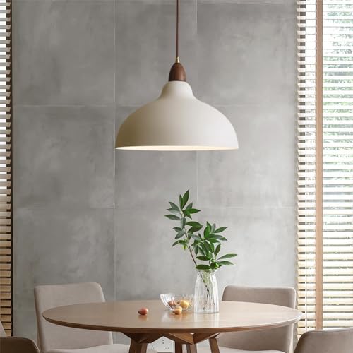 Lampe à suspension avec base E27 et dôme métallique style industriel