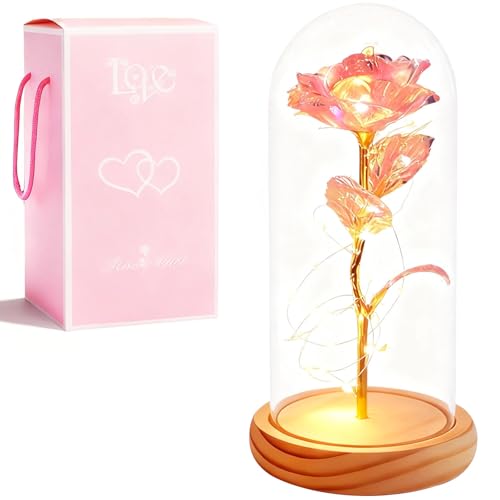 XVZ La Bella e la Bestia Rosa Eterna – Regalo di Fiori per Donne, Rosa Sotto Cupola di Vetro con LED e Supporto in Legno per Madre, Moglie o Amica per Natale, San Valentino - Polvere Colorata