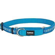 Red Dingo Martingale Daisy Chain Collar, Small, Turquoise