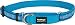 Red Dingo Martingale Daisy Chain Collar, Medium-Large, Turquoise