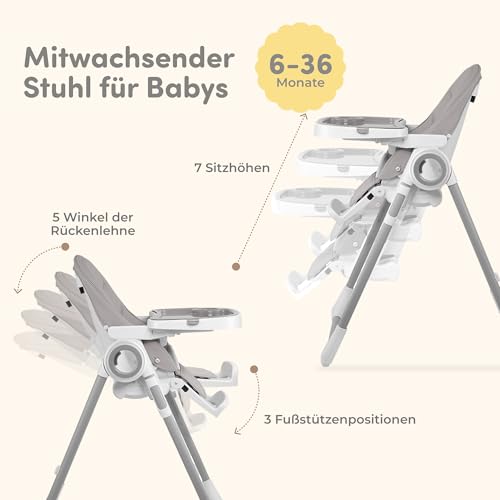 Sweety Fox visoka stolica za bebe s funkcijom ležanja - podesiva i sklopiva, dječja stolica sa sigurnosnim pojasom - dječja visoka stolica koja raste s djetetom od 6 mjeseci do 3 godine, max. 15 kg - siva