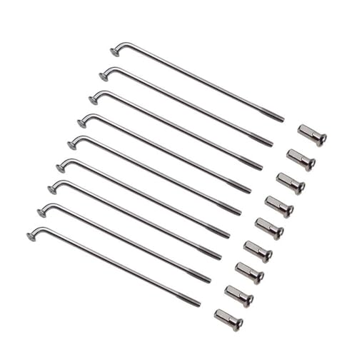 Rayons de vélo électrique 12G pour remplacer un rayon cassé sur roue arrière