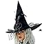 Black Witch Hat-2