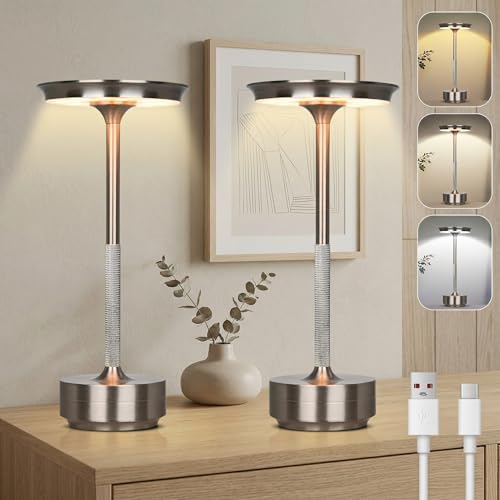 Rosnek Tischlampe Kabellose LED, 3 Farbtemperaturen Stufenlos Dimmbare Akku Tischleuchte, Touch Lampe mit USB-C, Silber Stylische Tischlampe Akku für Innen & Außenbereich, Metall Tischleuchte 2er-Set
