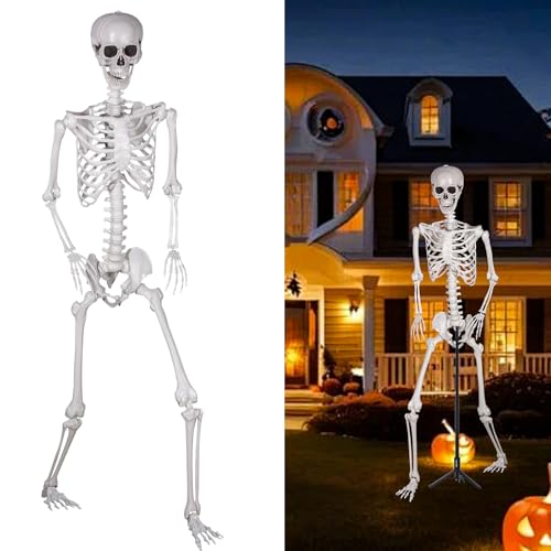 SIFOEL Halloween Plastikskelett, 240cm Ganzkörper Skelett mit beweglichen Gelenken für Halloween Innen Garten Haus Patio Dekorationen