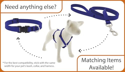 Durable Material and Reinforced Stitching of LupinePet Splash Leash