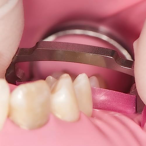 Image of Dental Polishing Strips, 6m /Rolls Tooth Sandpaper Dental Finishing Strips, Dental Polishing Strip Holder Stainless, Resin Tooth Interdental Grinding Tool.-Polishing Strip Holder