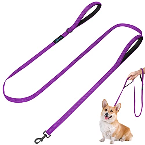 Image of Dog Leash for Small to Medium Dogs 6 ft x 0.6 inch with 3 Reflective Stitching and 2 Traffic Padded Handles Dog Lead /Rope, Pet Leash for Running Walking Training (Purple 1 Pack)