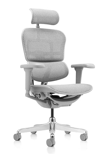 Ergohuman Ultra Cadeira De Escritório Ergonômica (CINZA)