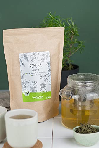 Grüner Sencha Tee BIO 1000 g I lose und geschnitten I aromatischer bio Sencha Grüntee I 100% natürlich I bioKontor