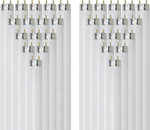 Sunlite 30199 T8 Linear Fluorescent Lamp, 32 Watts, 3100 Lumens, F32T8/Sp850, 5000K Daylight, Medium G13 Bi Pin Base, High Performance Straight Tube, 30 Pack #TOP8