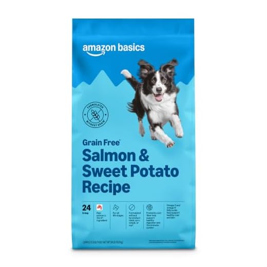Amazon Brand - Wag Dry Dog Food Salmon & Sweet Potato, Grain Free 24 lb Bag