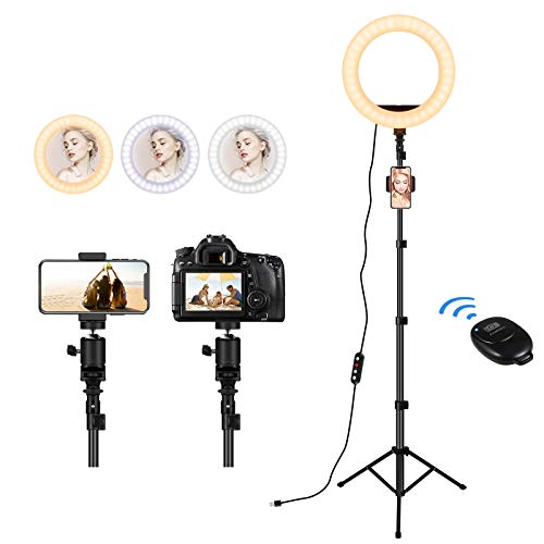 Ring Light with Stand and Phone Holder, 30 Dimmable Ring Lamp, 10