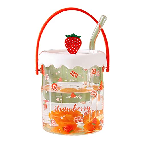QLINDGK Vasos de vidrio con tapas y pajitas, reutilizables de boca ancha, bonita taza de vidrio portátil, taza de frutas de verano, adecuada para decoración del hogar y viajes Cover
