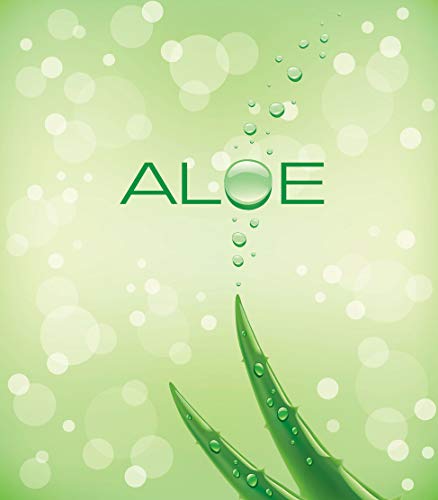 Lashfresh Eye & Lash Foaming Clean Wash Eyelash Extension Cleanser Organic/Natural + Style and Cleansing Brush 50ml