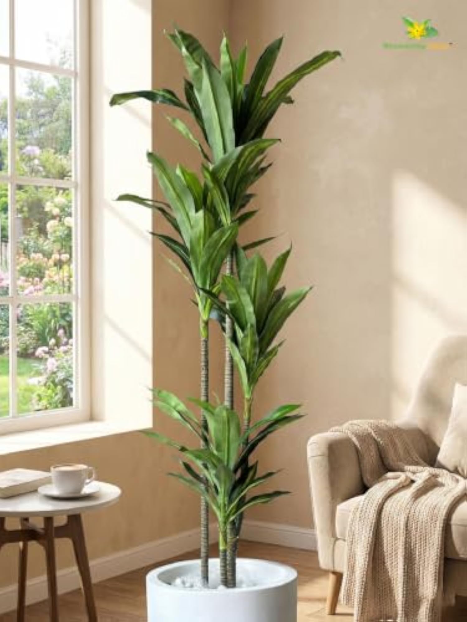Premium Artificial Dracaena Plant with Basic Pot