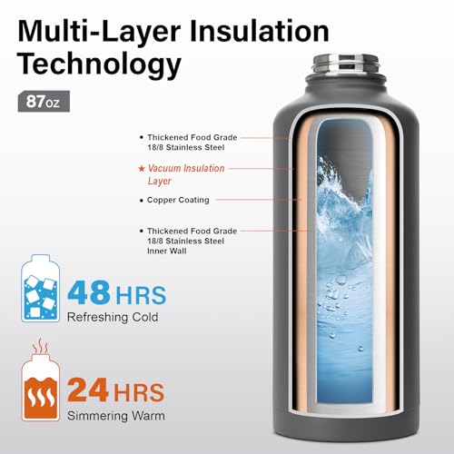 Insulated Water Bottle | Thickened Stainless Steel for Gym and Hiking with Straw, Carrier Bag, Handle Strap | BPA-Free 87 oz