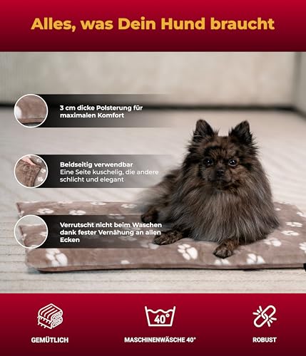 HS-Hundebett® Hundedecke XS (45x65 cm) – Wendbar & gemütlich Dank 3 cm Füllung – Perfekt fürs Sofa, Auto & Hundebox – Tatze Beige, Made in DE