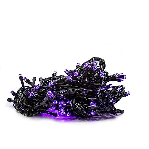 Cordão Pisca Led Roxo Haiz 8 Mts Enfeites HZ-300029 (220)