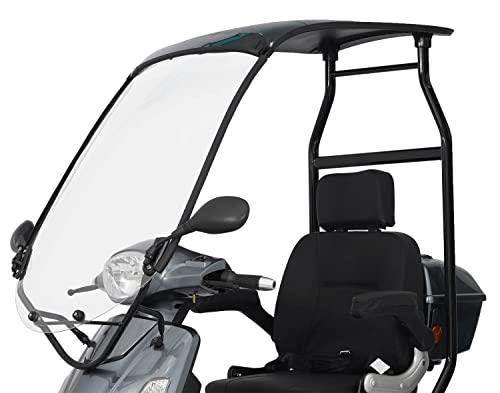 E Roller Mobil Vita Care 4000 Li | E-Roller Lithium, Elektro Mobil Dach Elektromobil 25 km/h (Gray)